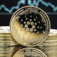 İddia: Cardano